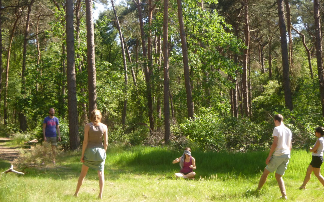 Workshop nature experience&awareness