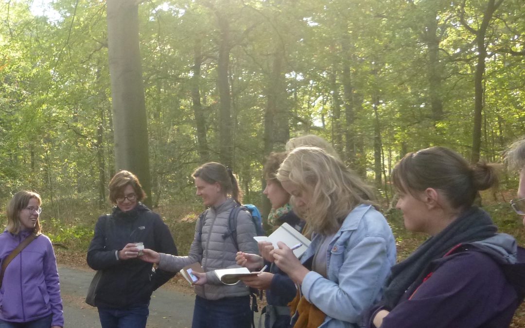 A taste of nature – Wild edible walk